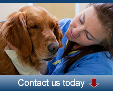 Schedule a tour of our facility